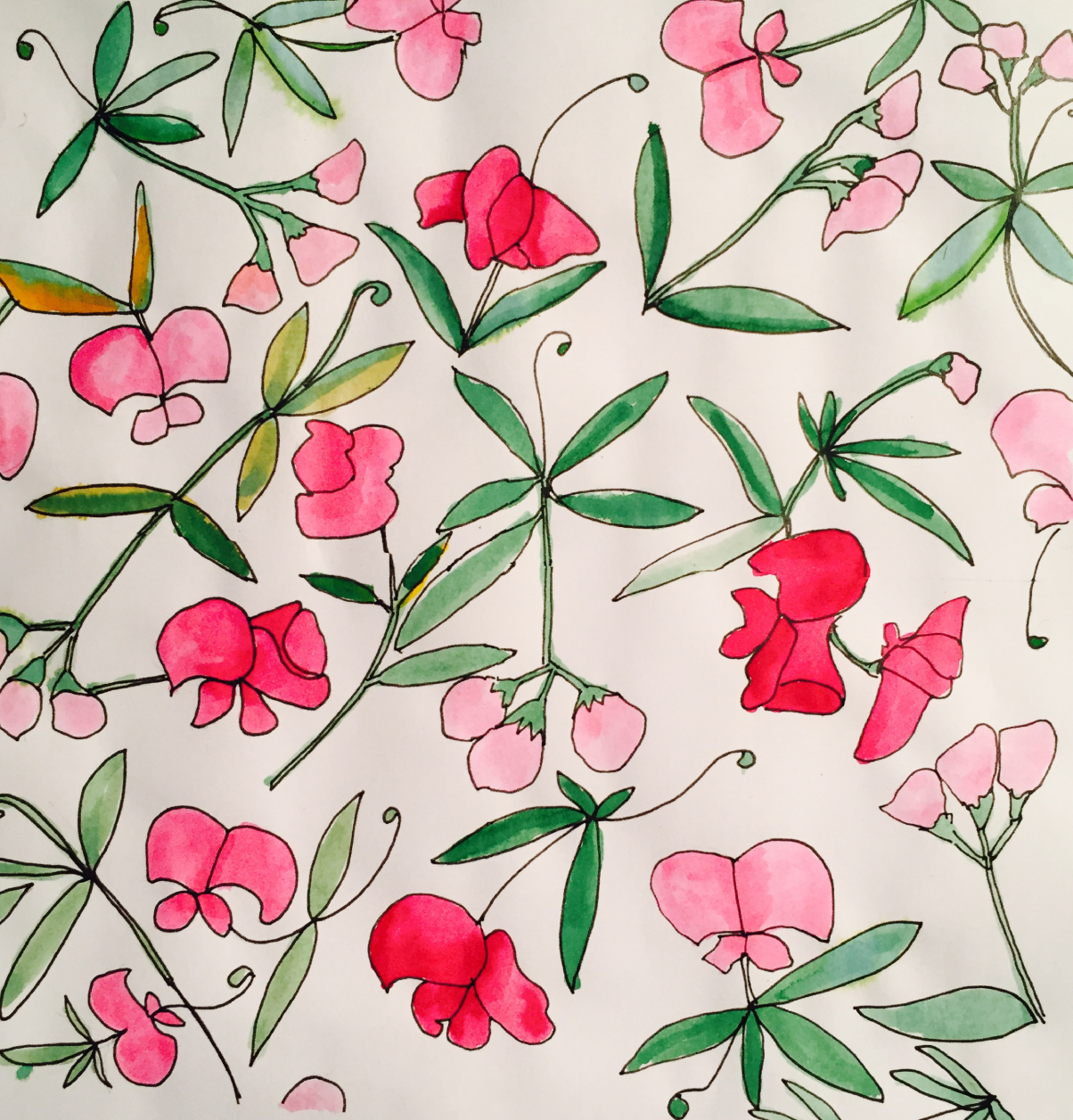 Pink Flower Watercolor-01